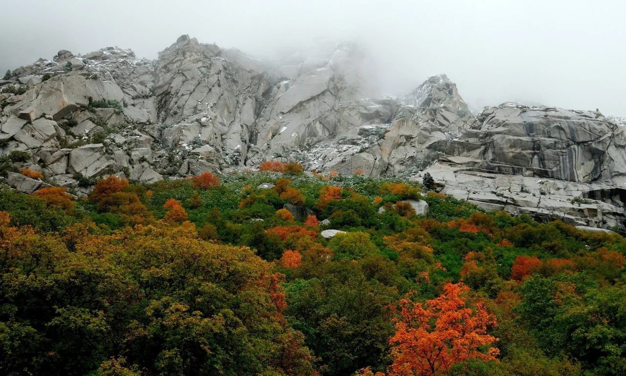 туман, горы, гора, пейзаж, скалы, лес, камни, листья, осень, деревья