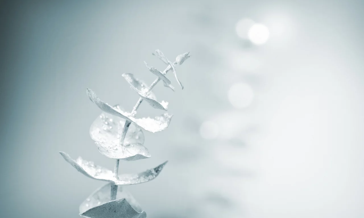 magic touch, snow, soft