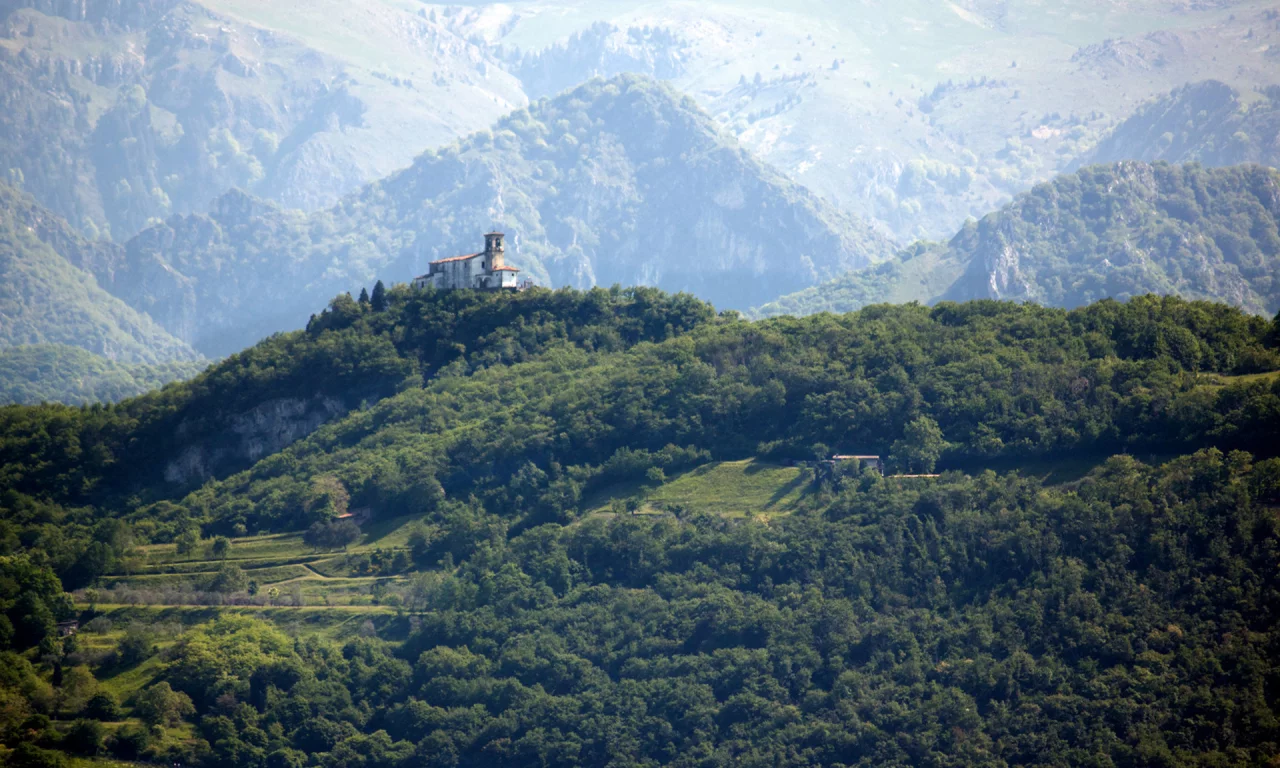 горы, поместье, лес
