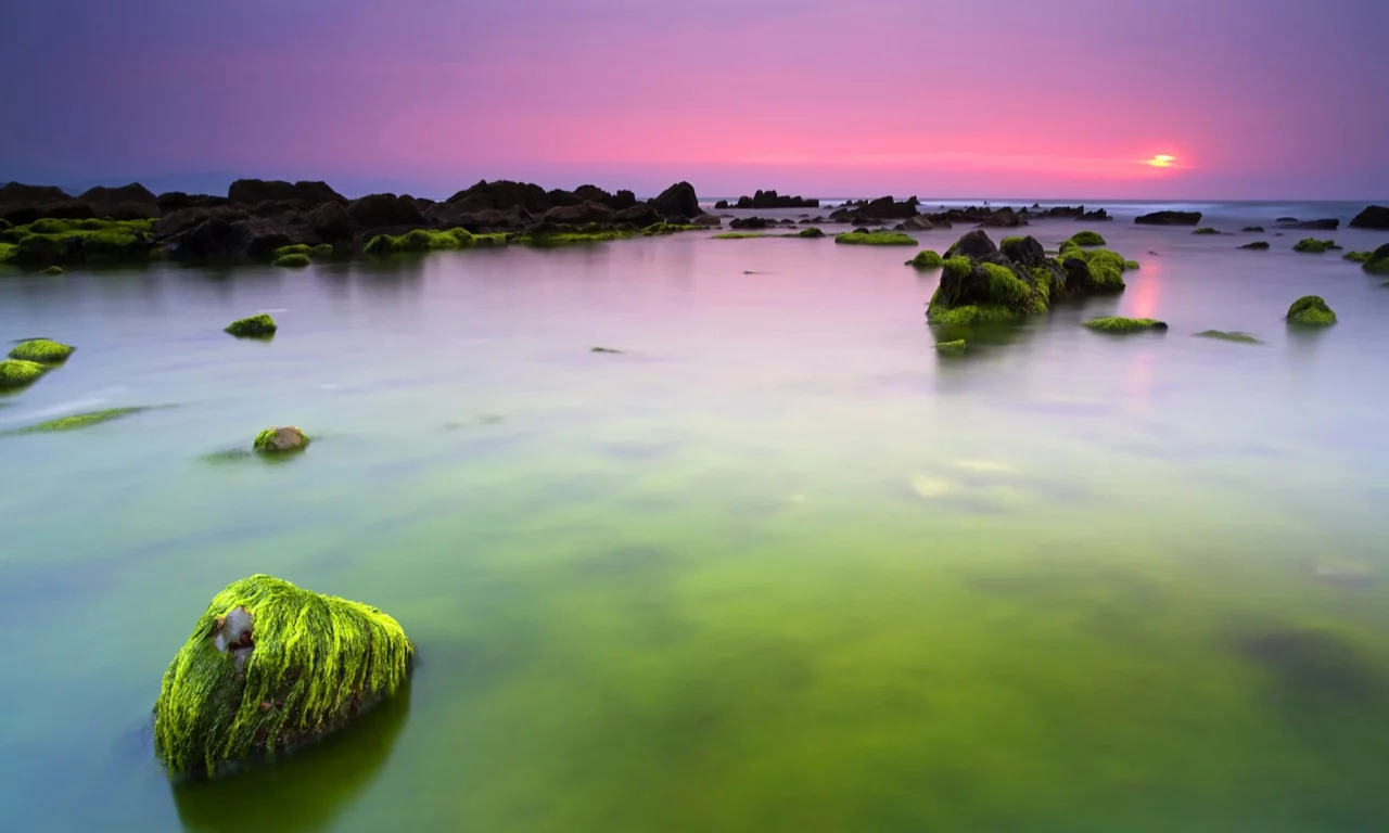 море, зеленые, вода, утро, океан, камни