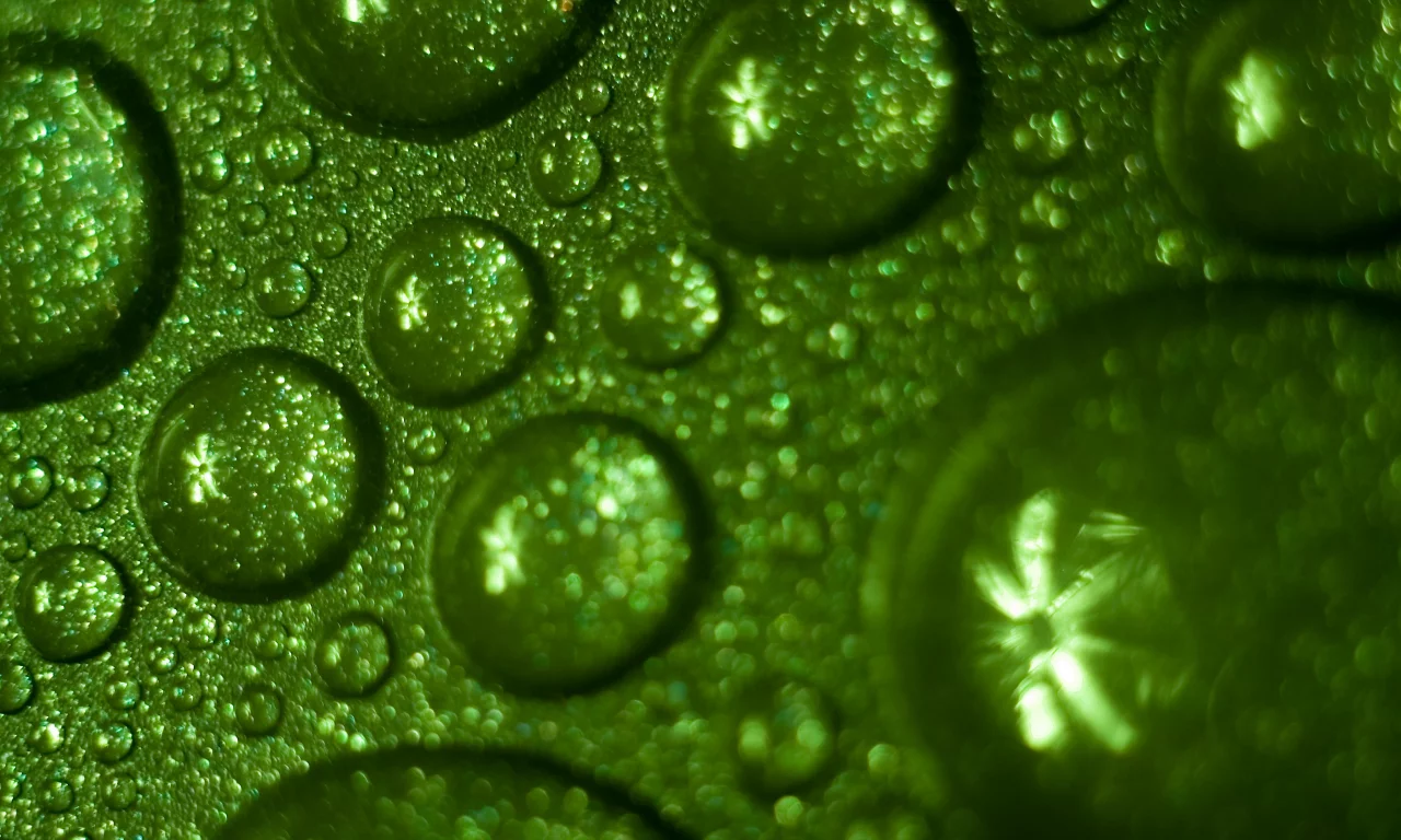 drops, green, water, обои