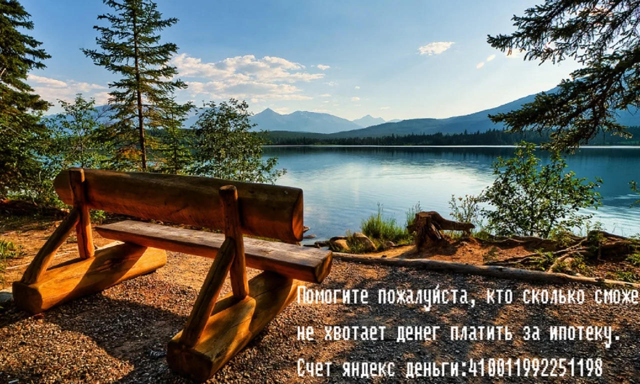 озеро, лес, скамейка