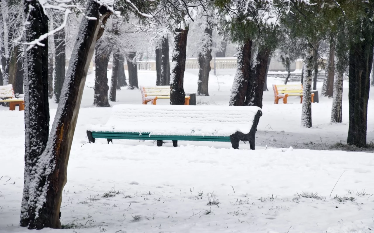 снег, зима, парк, деревья, разноцветные, snow park, скамейки