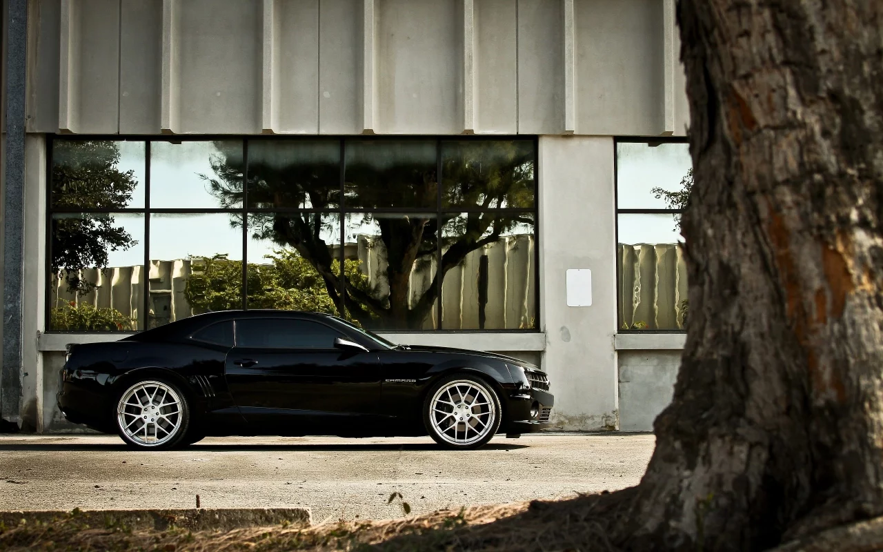 chevrolet camaro ss, дерево, отражение