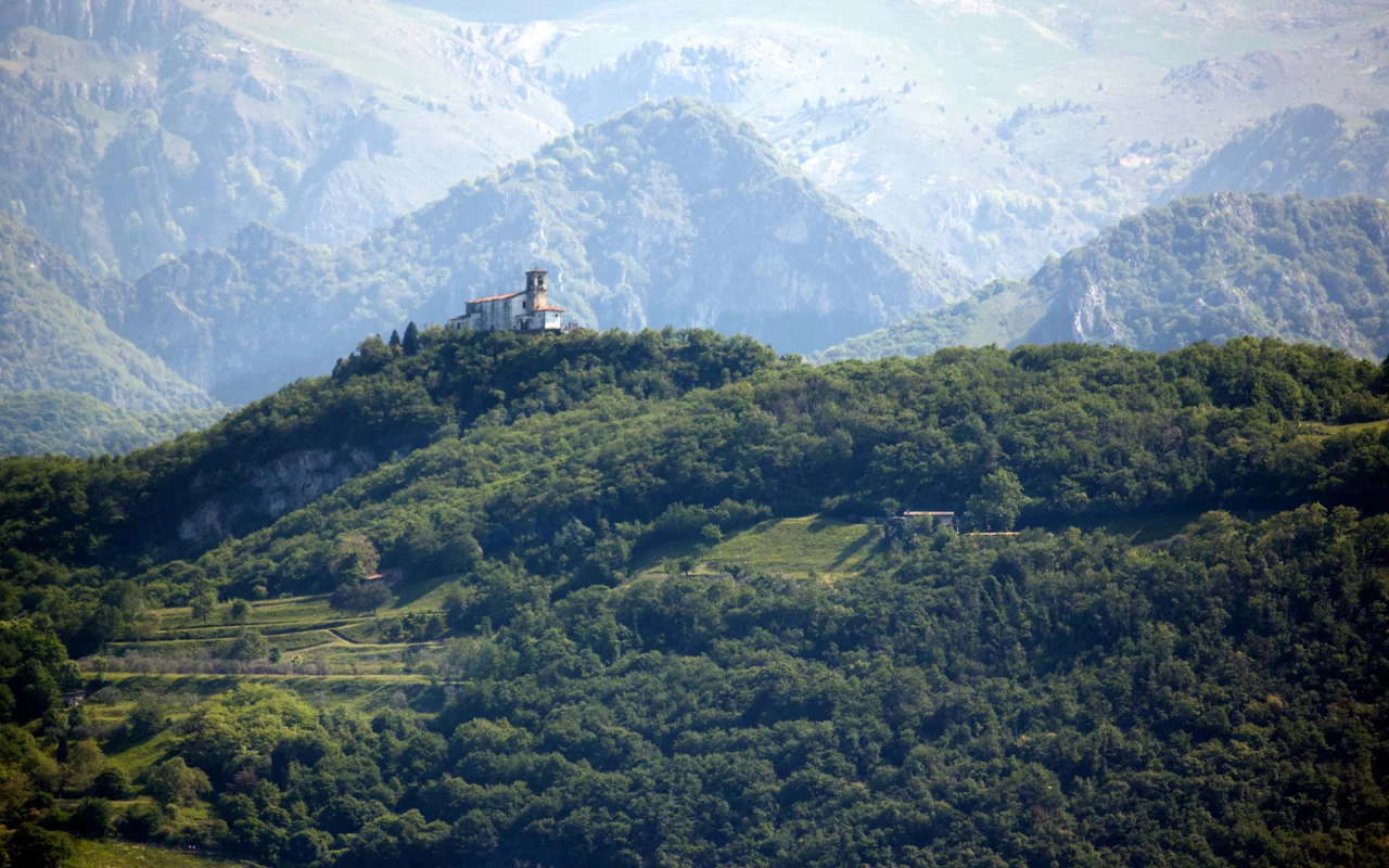 горы, поместье, лес