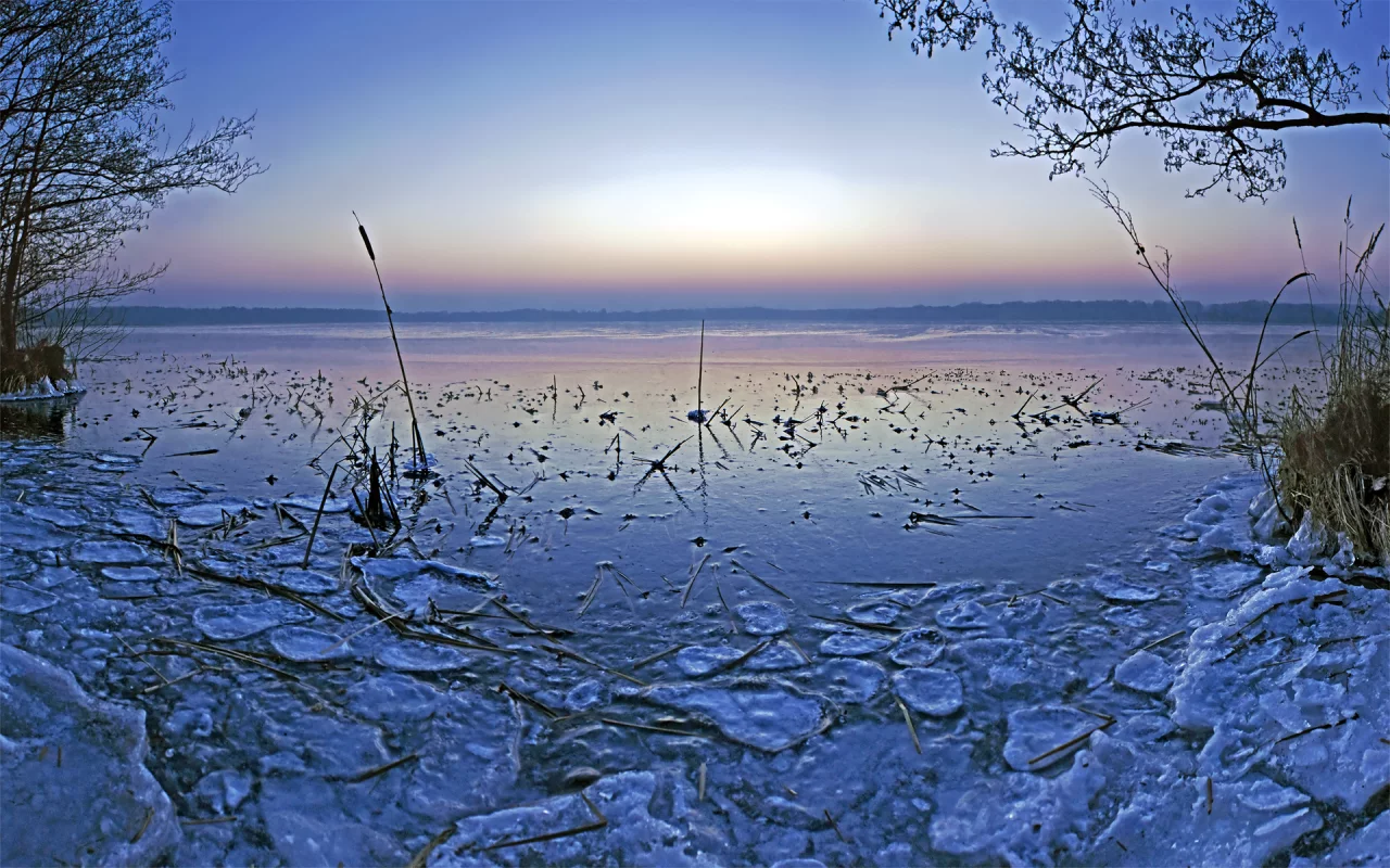 небо, ветки, пруд, зима, камыши, озеро, вечер, вода, лёд, горизонт, лес