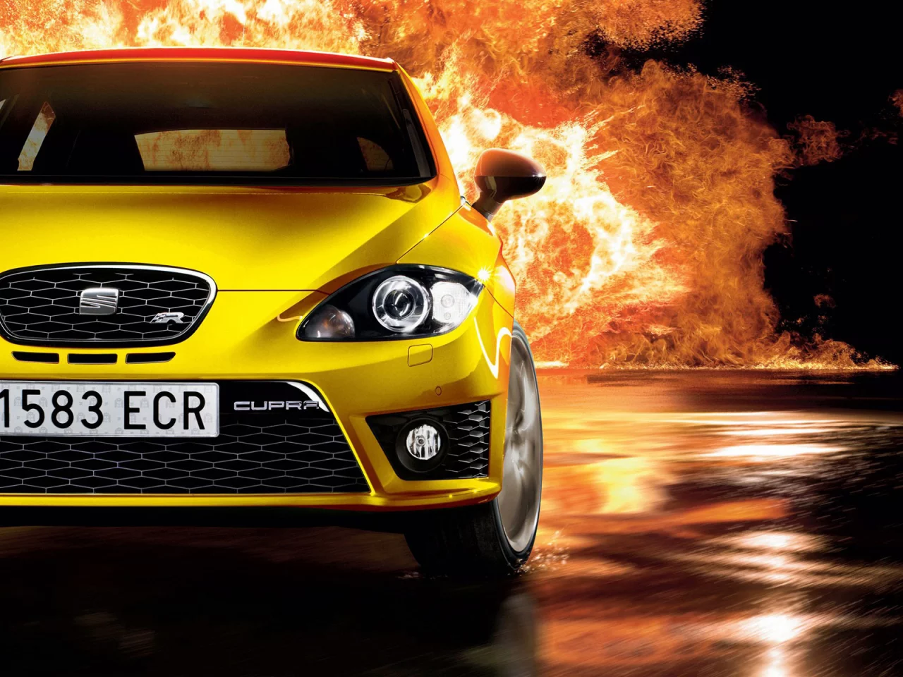 leon, seat, cuprar, желтый