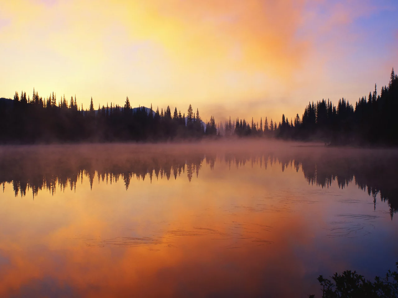 лес, природа, закат, озеро, пейзаж