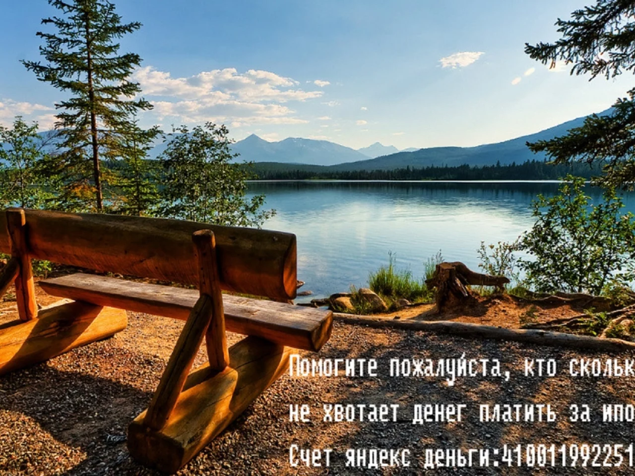 озеро, лес, скамейка