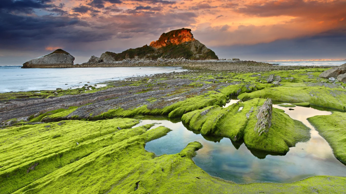 камни, водоросли, скалы, море, небо