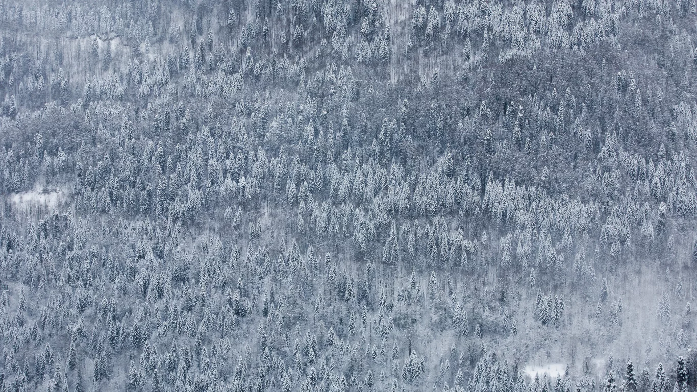 красная поляна, природа, дмитрий чистопрудов, пейзаж, wallpaper, снег, россия, зима, обои, край, лес, гора, сочи, краснодарский