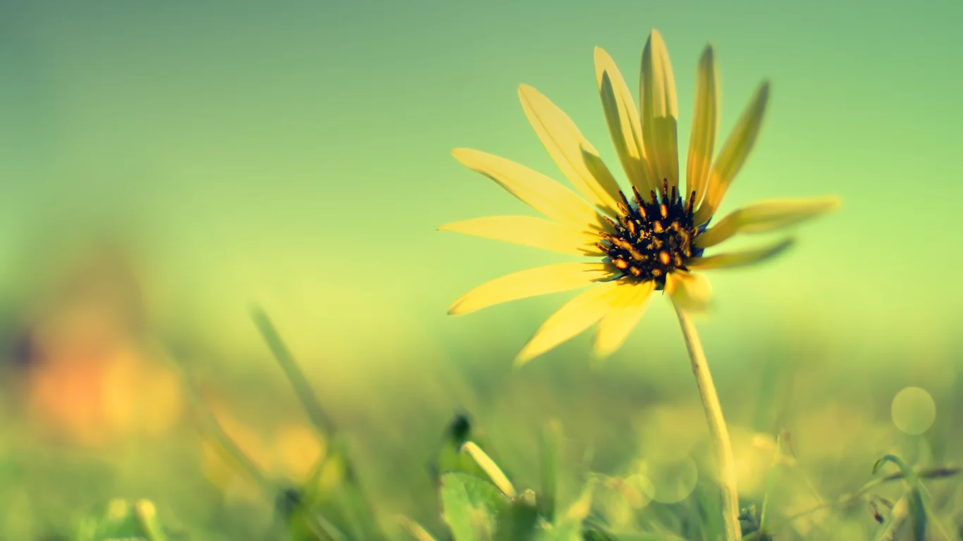 simple, life, вверх