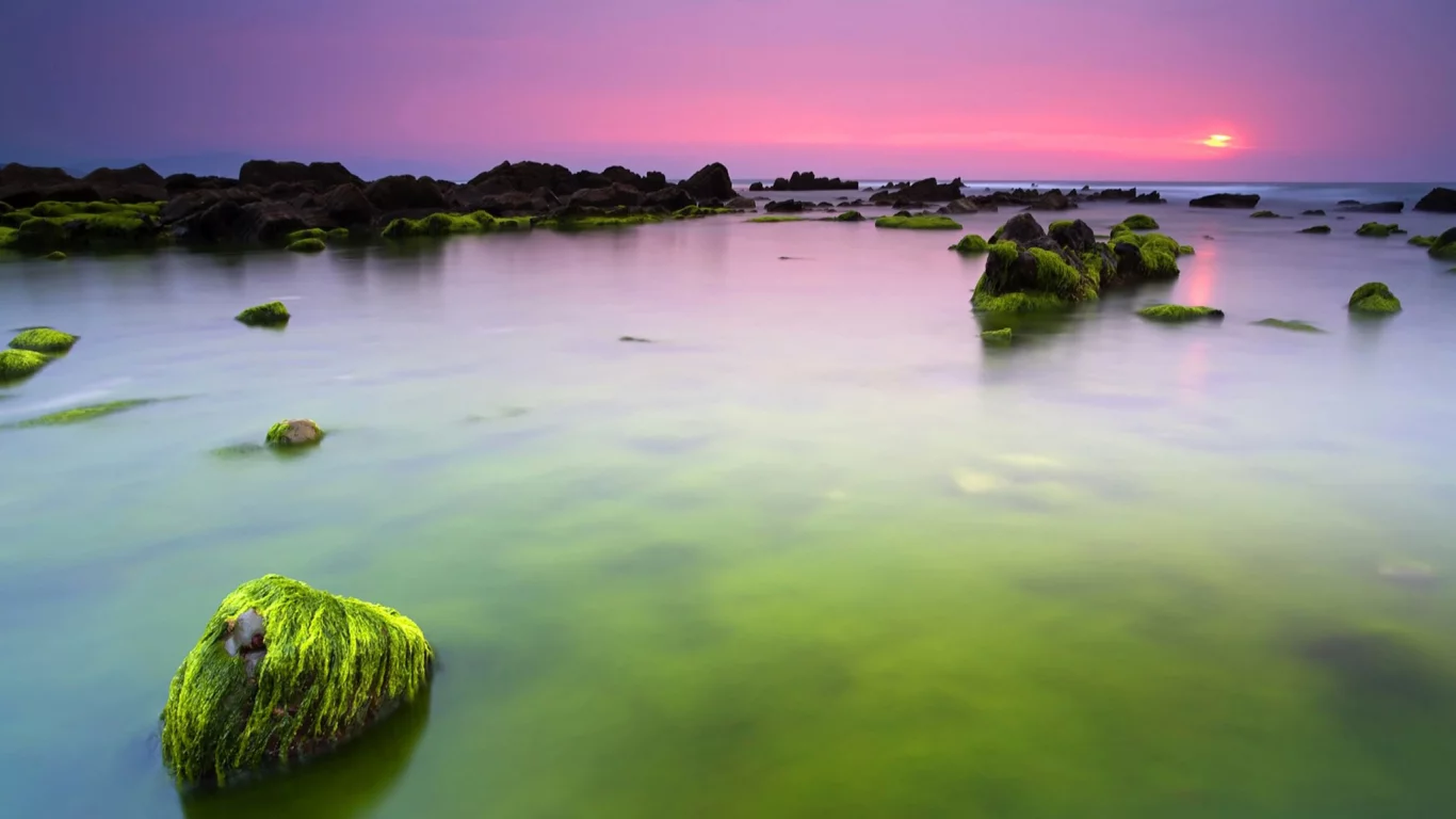 море, зеленые, вода, утро, океан, камни