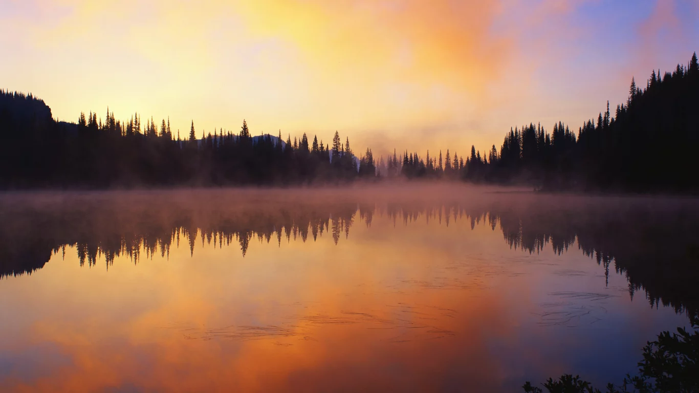 лес, природа, закат, озеро, пейзаж