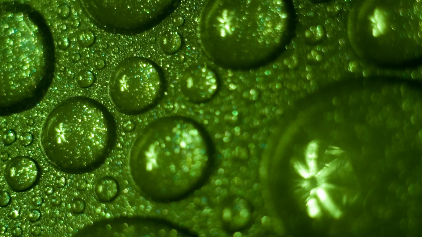 drops, green, water, обои