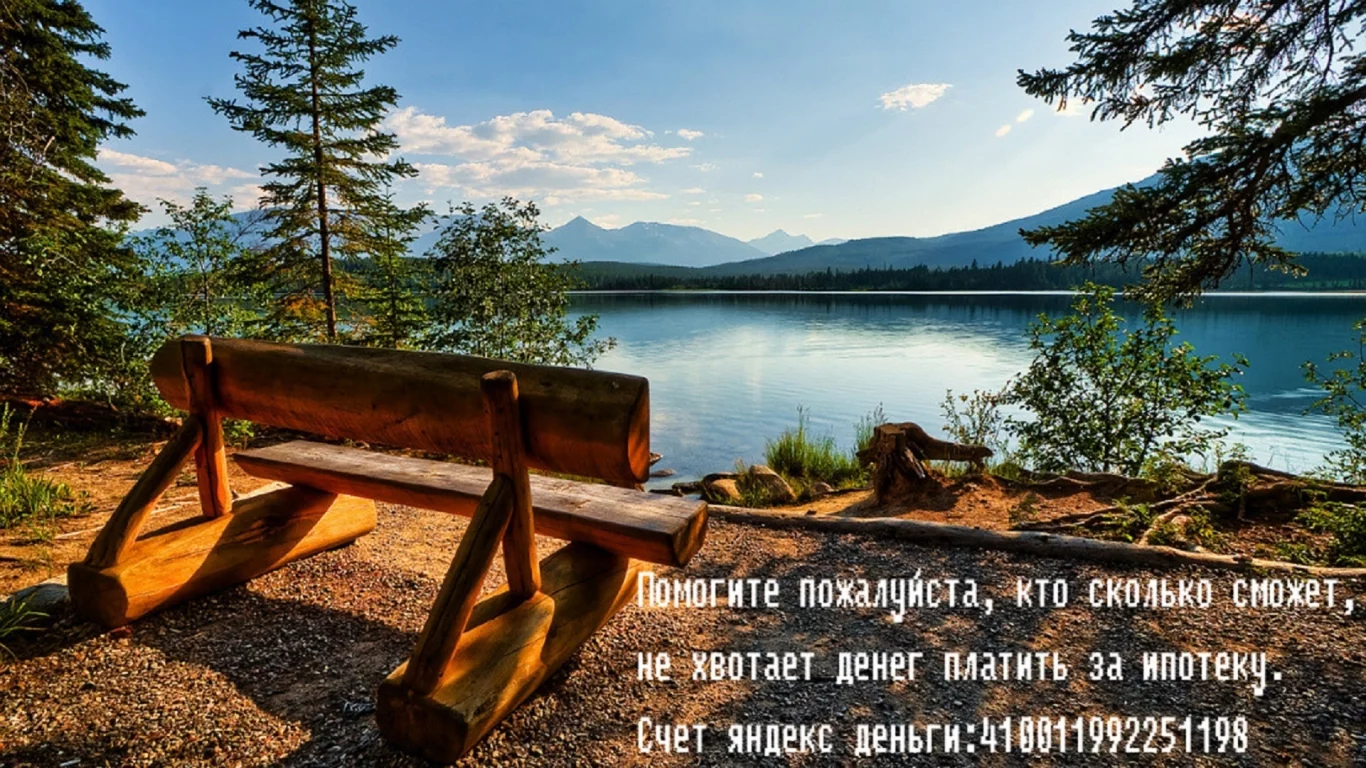 озеро, лес, скамейка