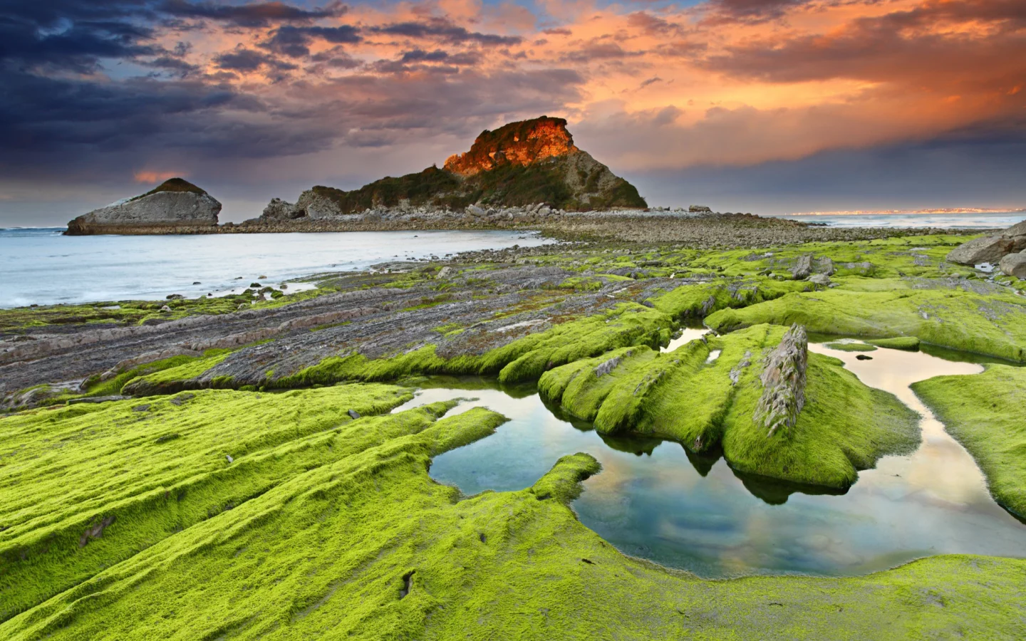 камни, водоросли, скалы, море, небо