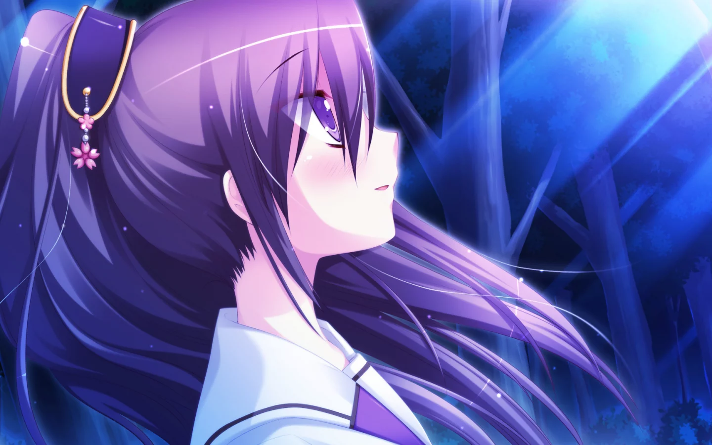 hyper highspeed genius, глаза, волосы, лес, tojoin kyoka, фиолетовые, девушка, луч