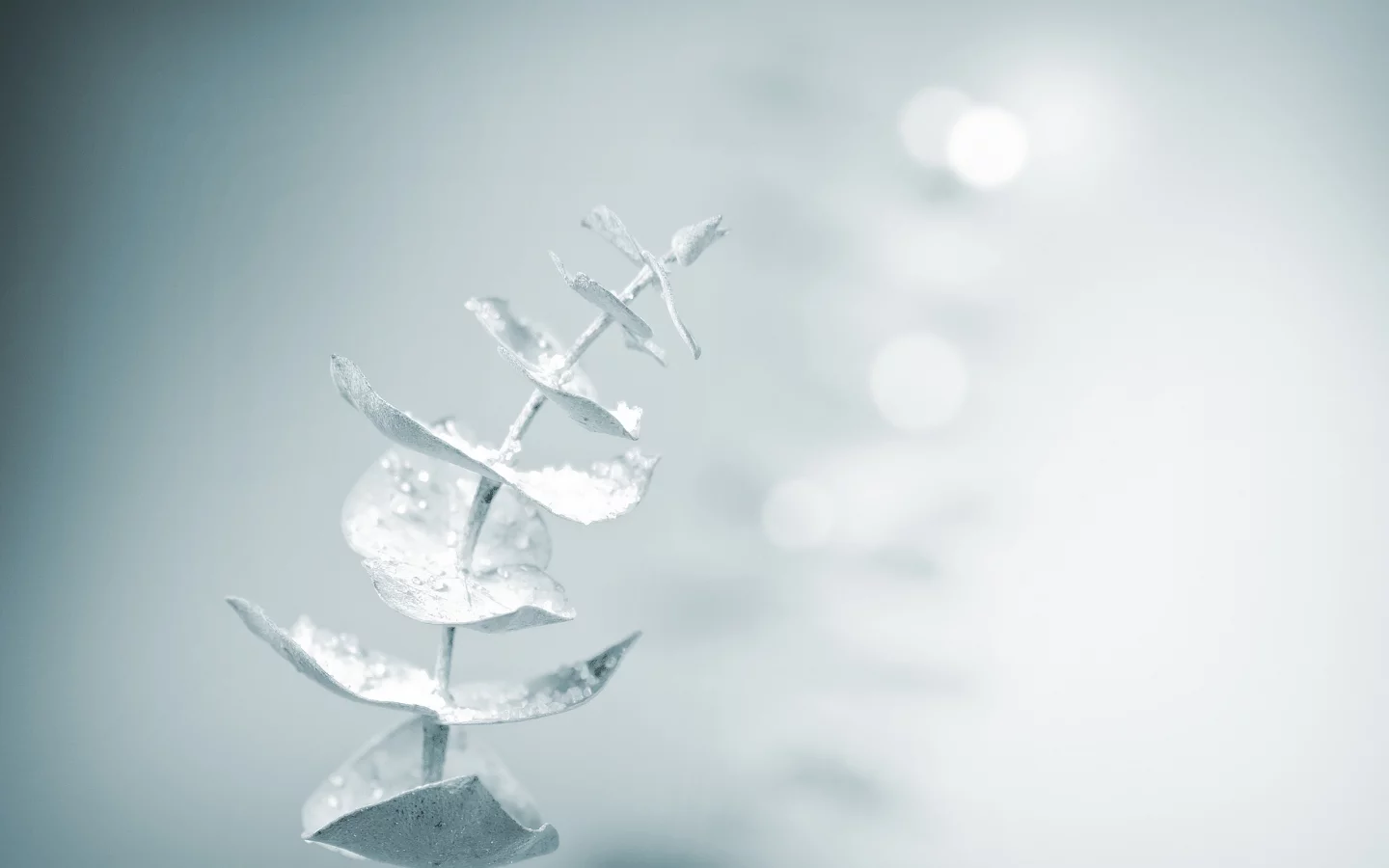 magic touch, snow, soft
