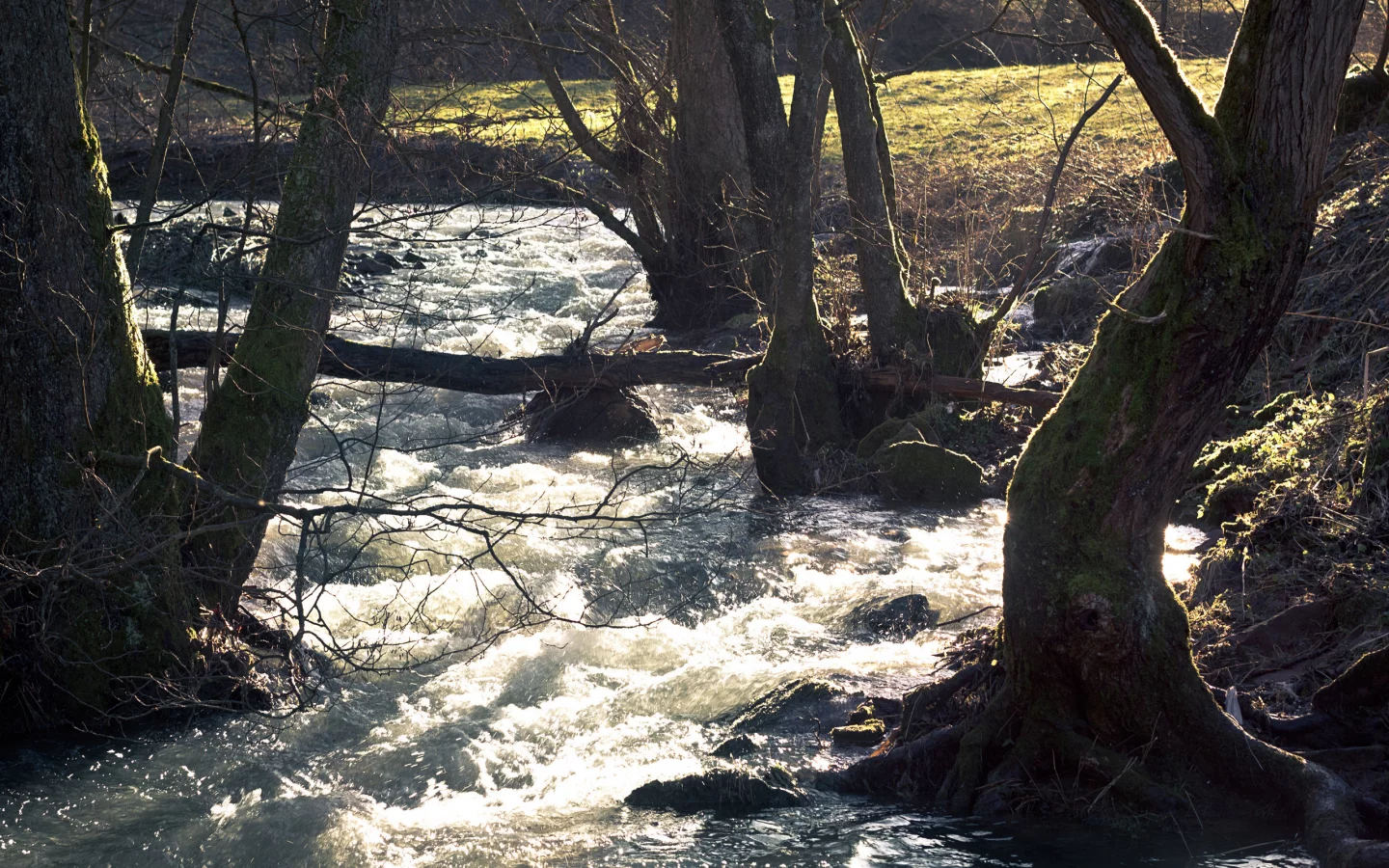 вода, поток, река