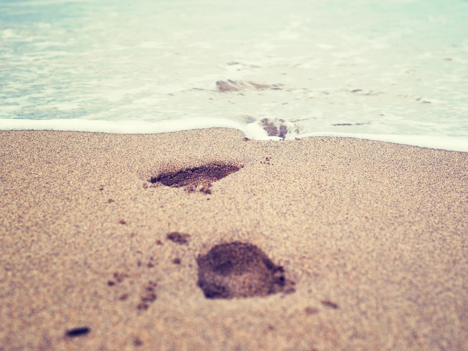 вода, макро, след, песок, 2560x1600, море, sea, macro, print, water, sand
