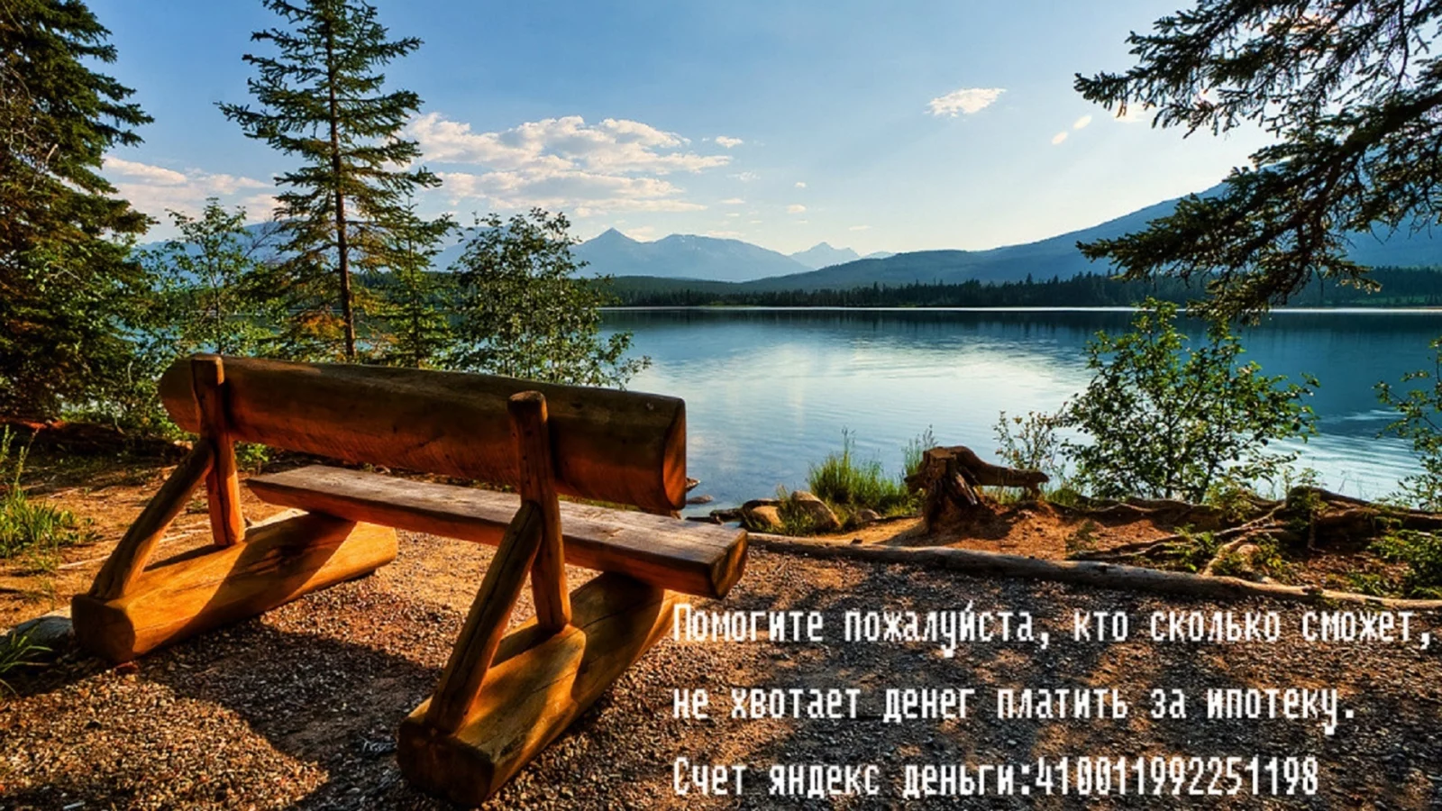 озеро, лес, скамейка