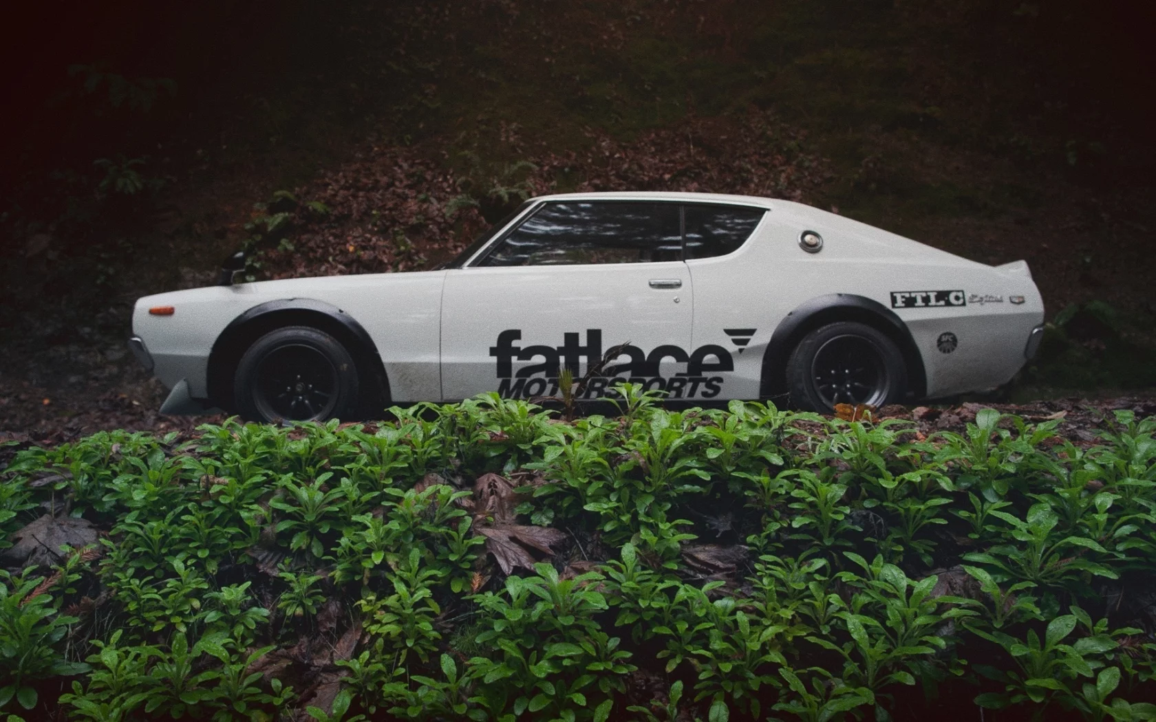 fatlace, skyline, осень, лес, листья, nissan, gt-r, дерево