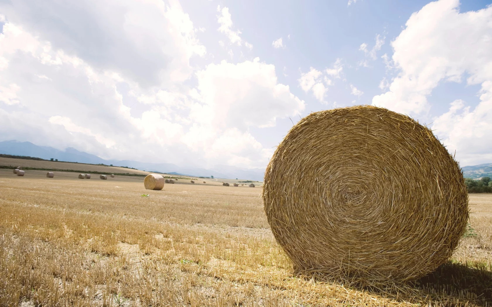field, стог, пейзаж, сено, поле, горизонт, expanse