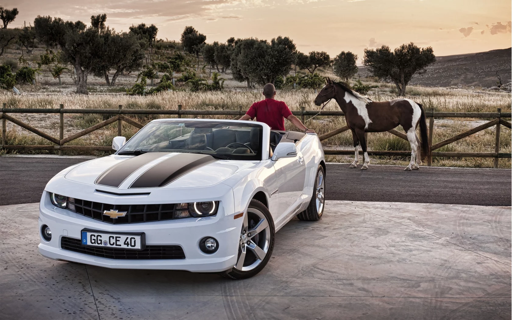 chevrolet, забор, camaro, мужчина, лошадь, дорога
