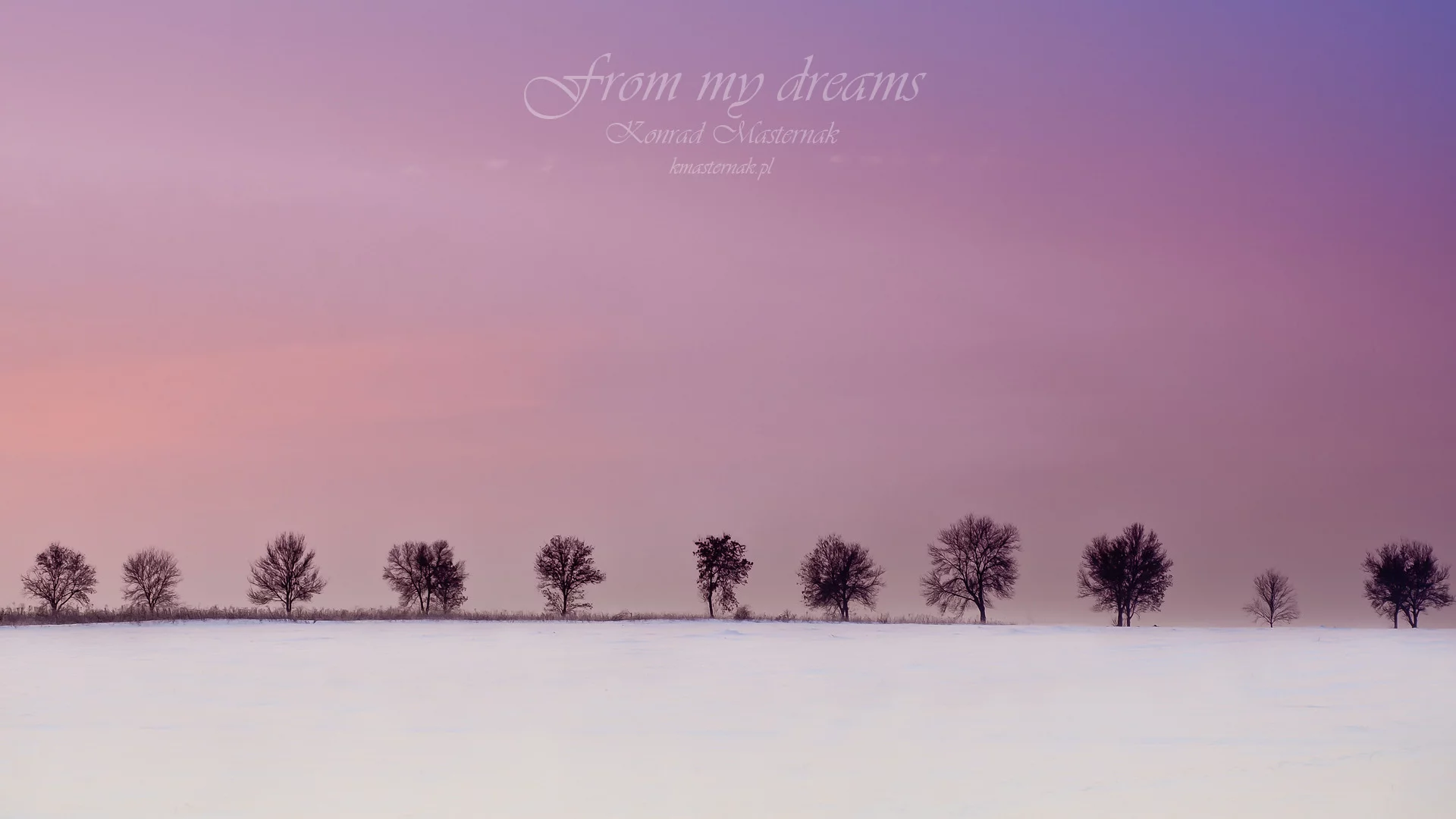 from my dreams, деревья, зима