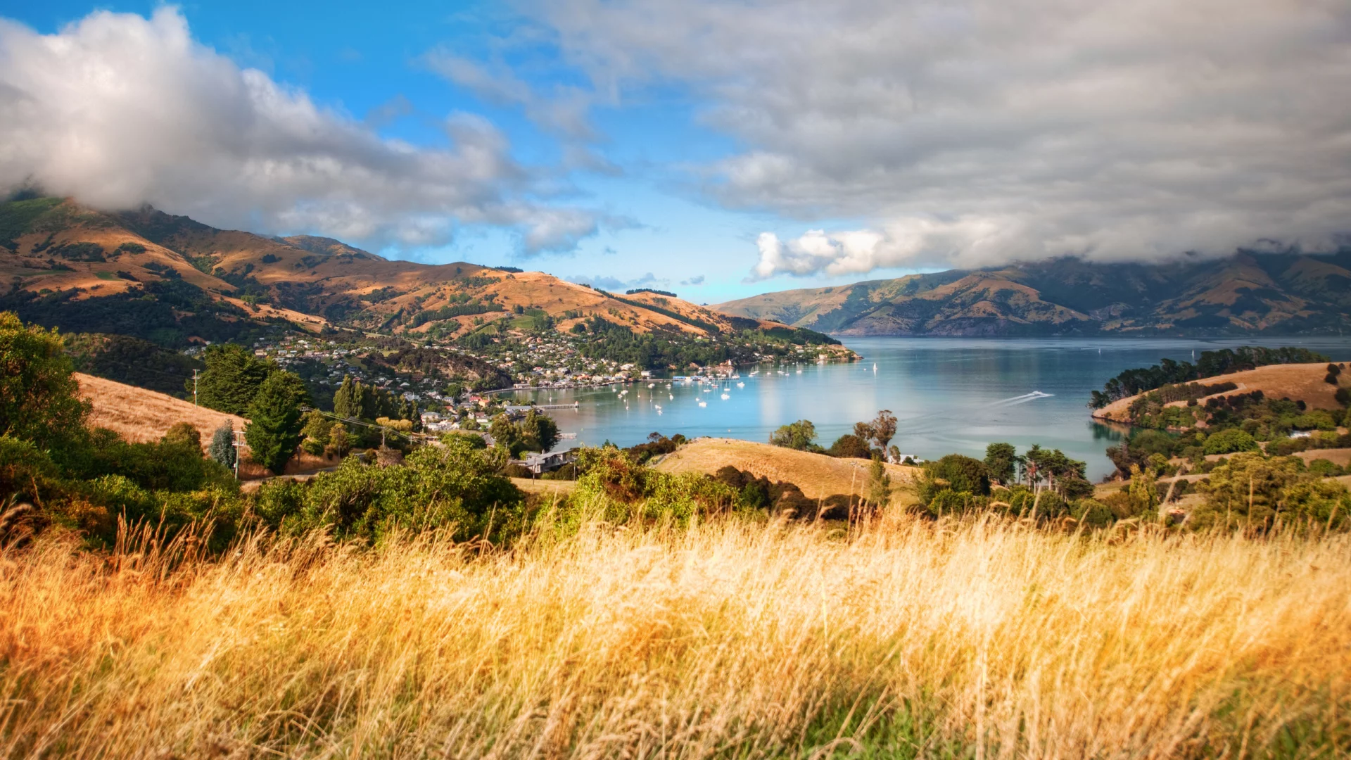 akaroa, new zealand, south island, новая зеландия, aotearoa