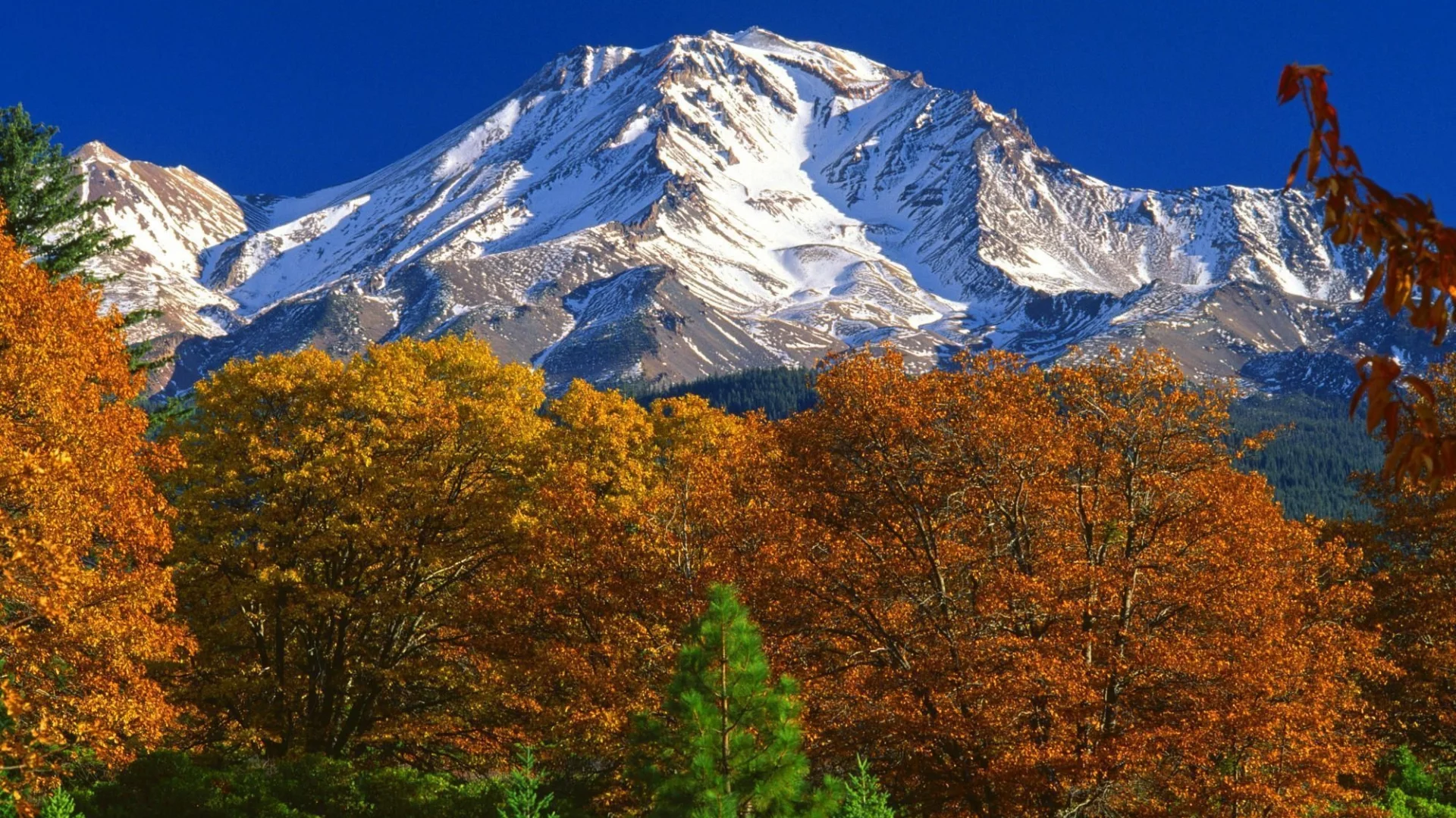 лес, сша, калифорния, осень, горы