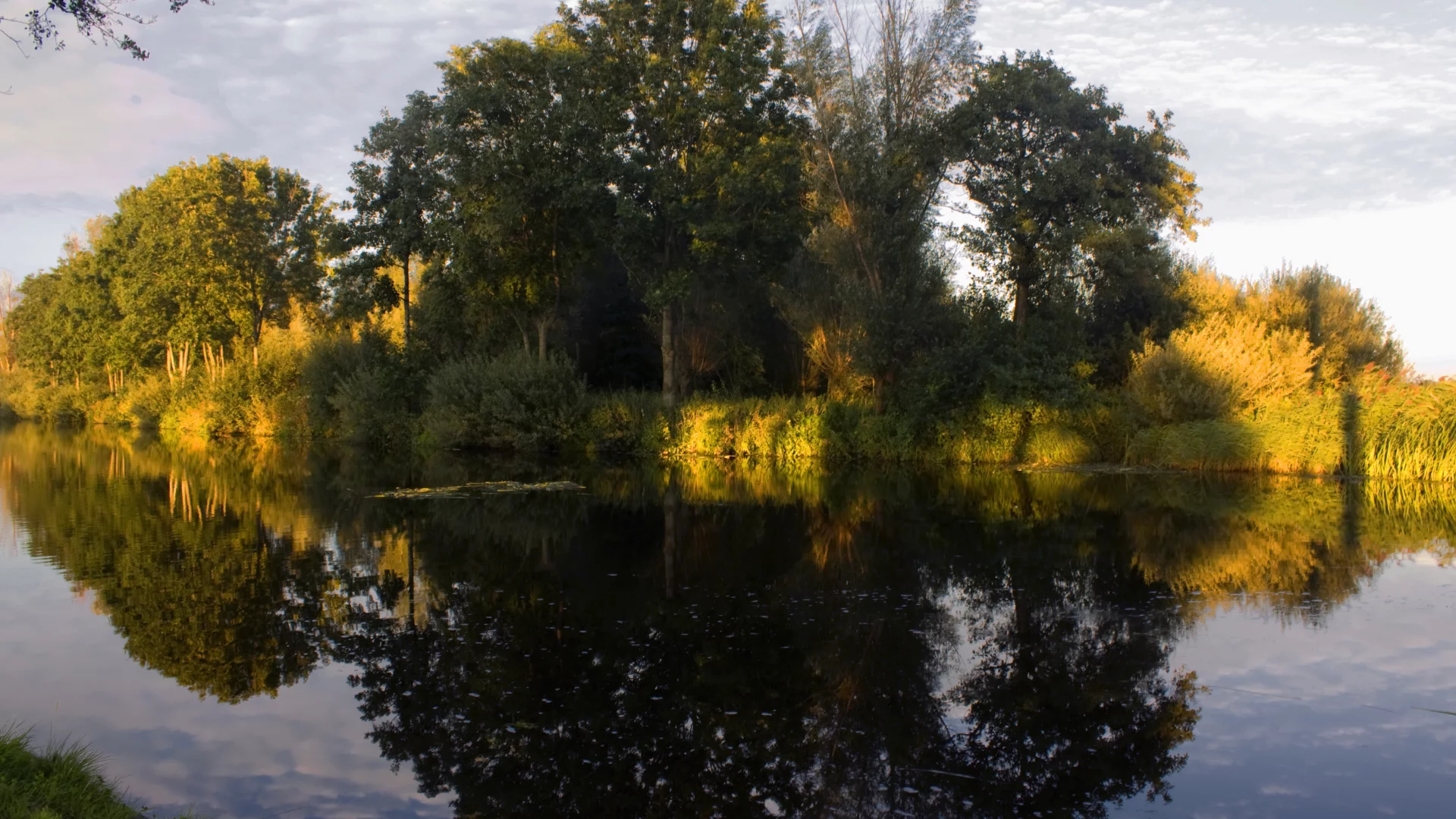 зеркало, деревья, река, природа