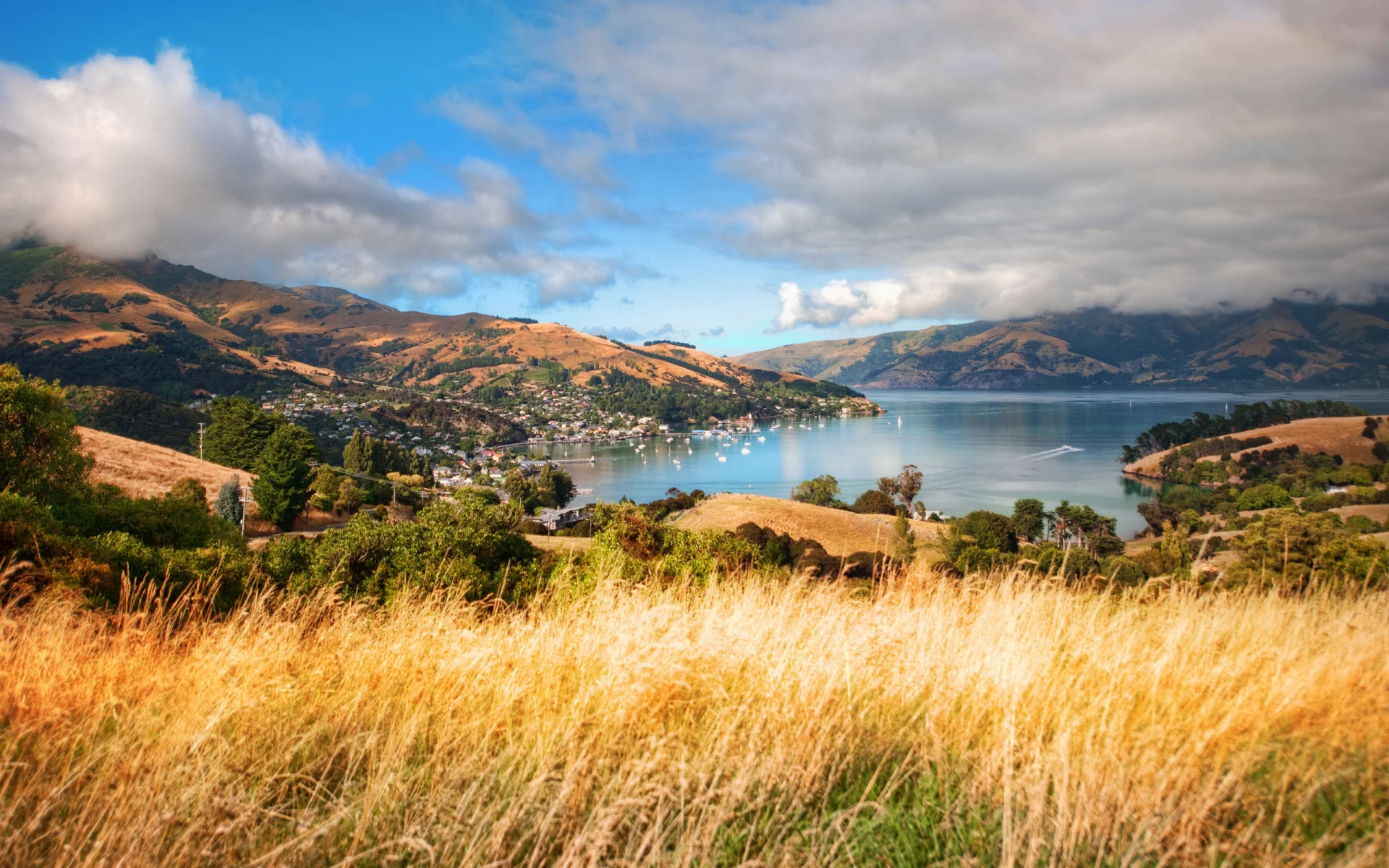 akaroa, new zealand, south island, новая зеландия, aotearoa