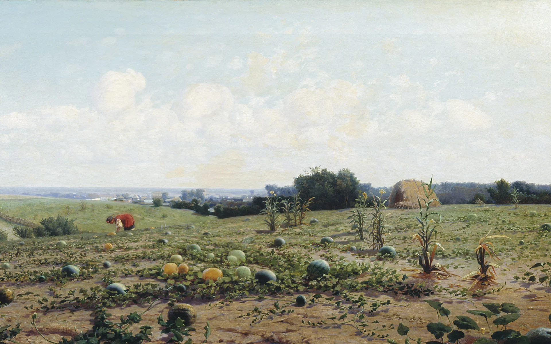 бахча, картина, крачковский
