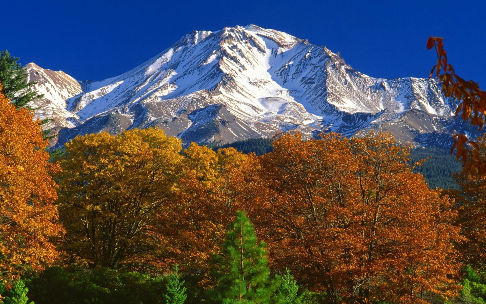 лес, сша, калифорния, осень, горы