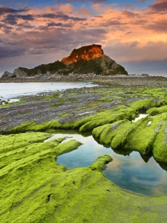 камни, водоросли, скалы, море, небо