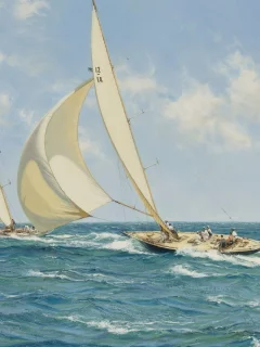регата, море, яхты, montague dawson