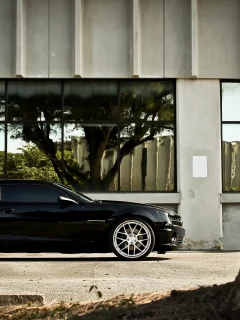 chevrolet camaro ss, дерево, отражение