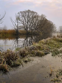река, трава, вечер