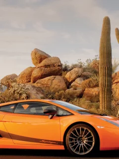 пустыня, gallardo, кактусы