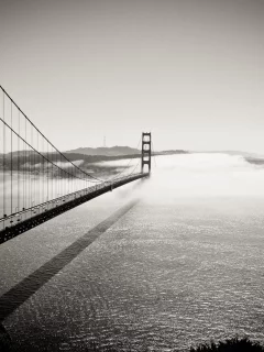 golden gate bridge, калифорния, into the fog, мост, чб