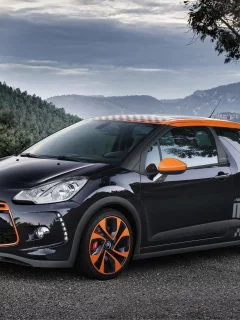 чёрный, ситроен, горы, дс3, небо, пейзаж, дерево, citroen, рэйсинг, ds3, racing