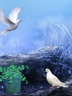 полено, голуби, цветы, полевые, птицы, рисунок