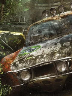 бампер, лес, машины, crash