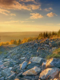 лес, небо, камни, солнце