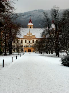грац, austria, зима, австрия, дворец, лес, palace, парк, замок, дворец-замок эггенберг, castle, eggenberg, ёлочки, schloss