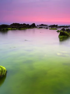 море, зеленые, вода, утро, океан, камни