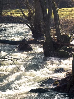 вода, поток, река
