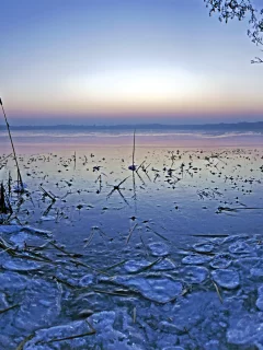 небо, ветки, пруд, зима, камыши, озеро, вечер, вода, лёд, горизонт, лес